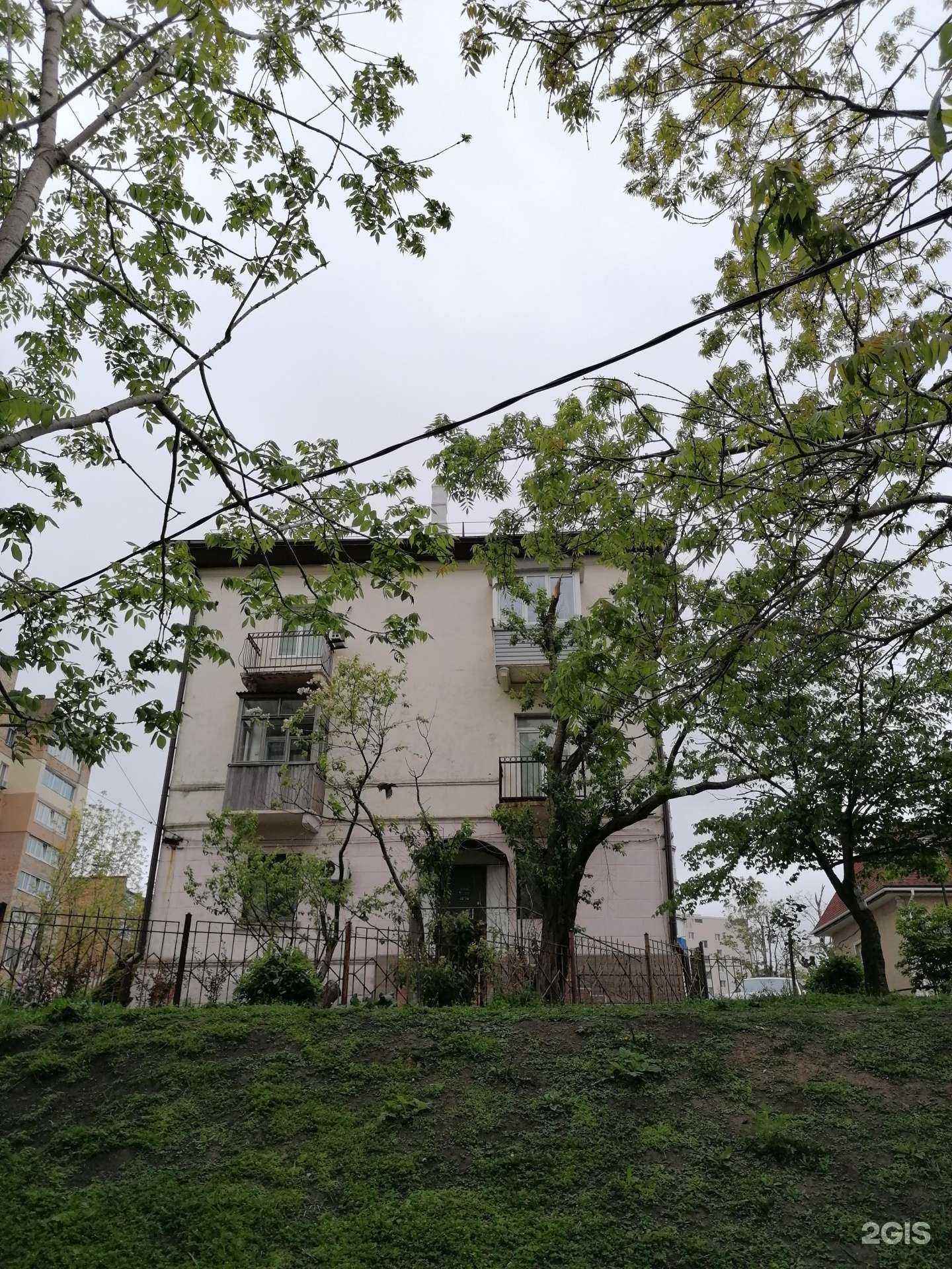 Отзывы на компанию Зелёная лампа в Владивостоке c фото - фотография 2 из 2