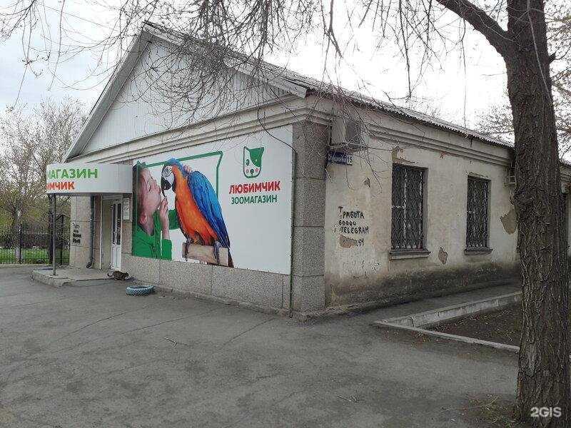 Отзывы на компанию Любимчик в Орске c фото