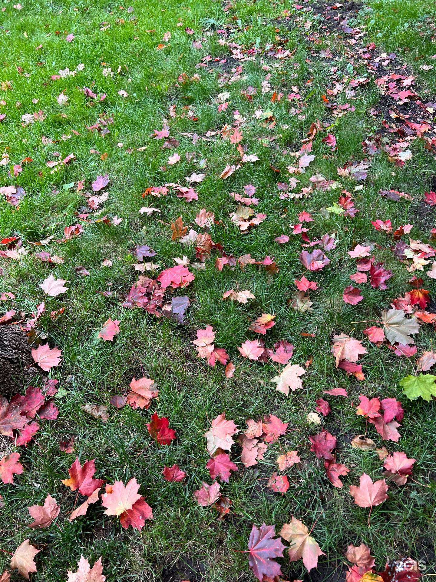 Отзывы на компанию Страховой агент в Уфе c фото