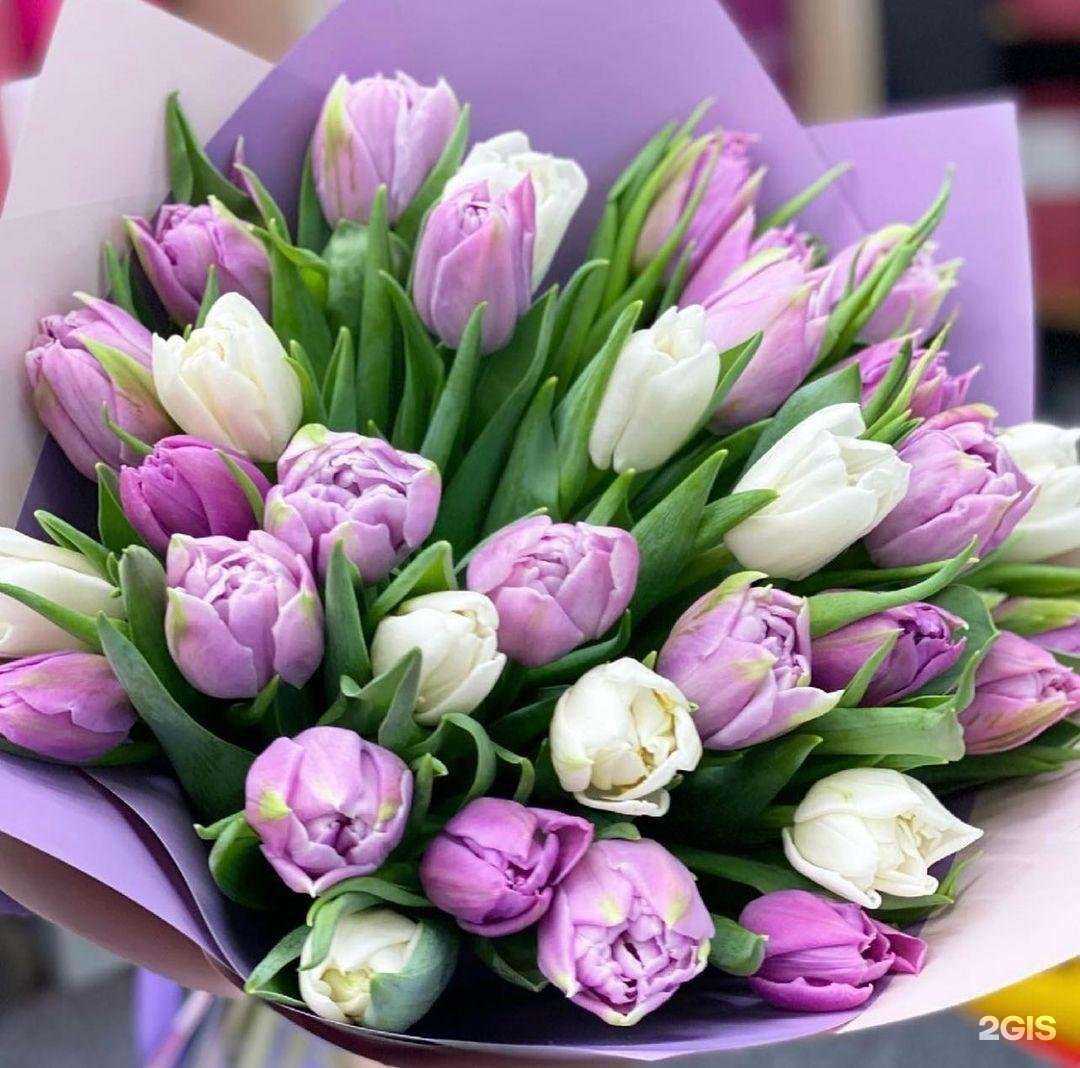 Отзывы на компанию Центр канцелярских товаров в Казани c фото