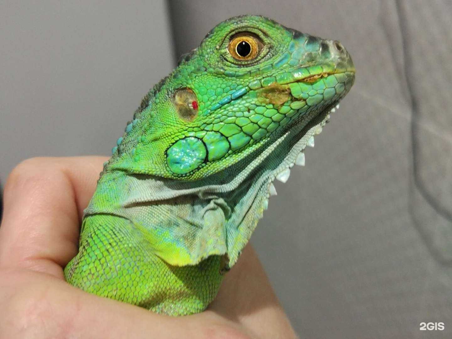 Отзывы на компанию Василиск в г. Краснодар c фото