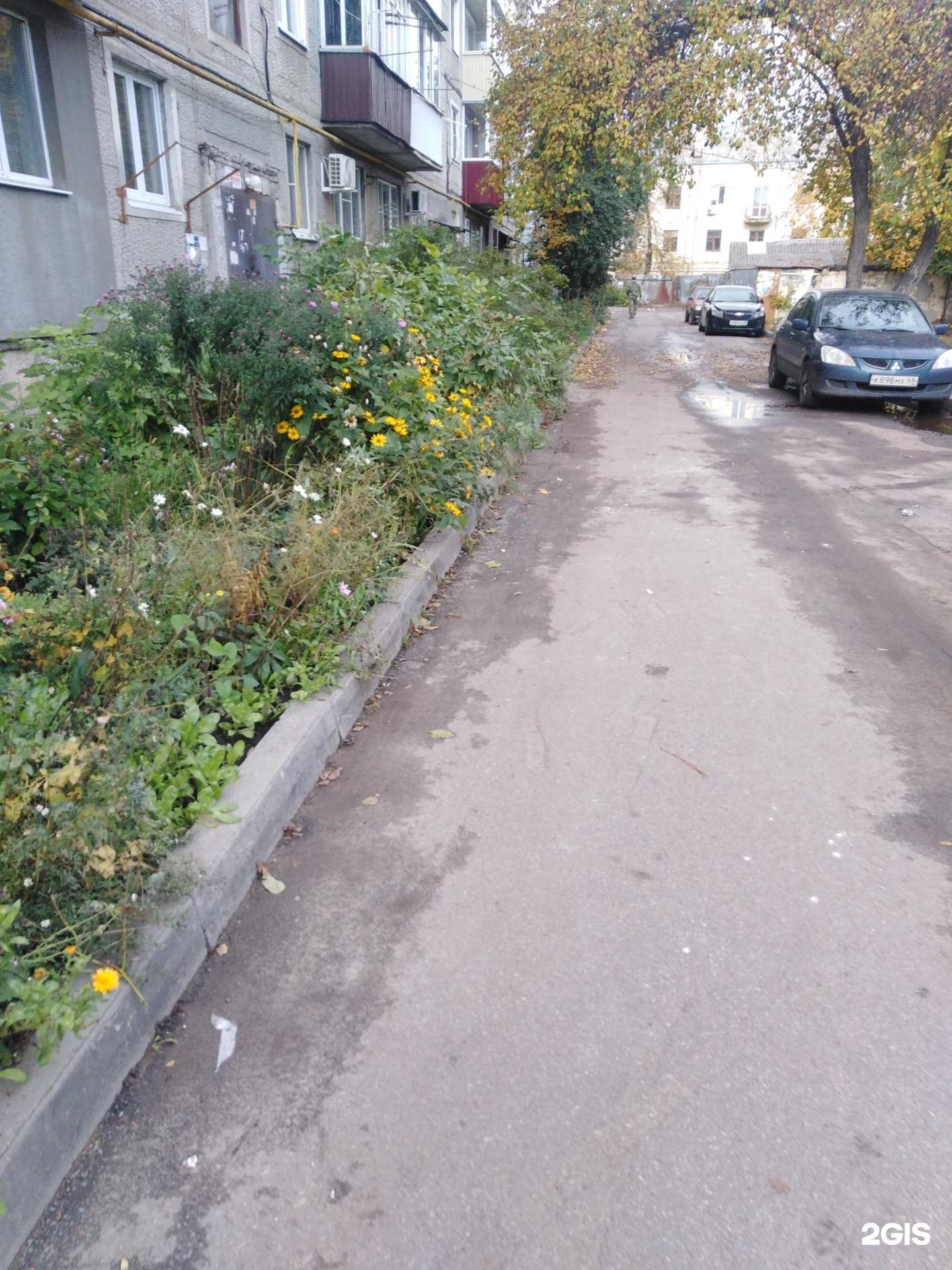 Отзывы на компанию Почта Банк в Тамбове c фото - фотография 2 из 2