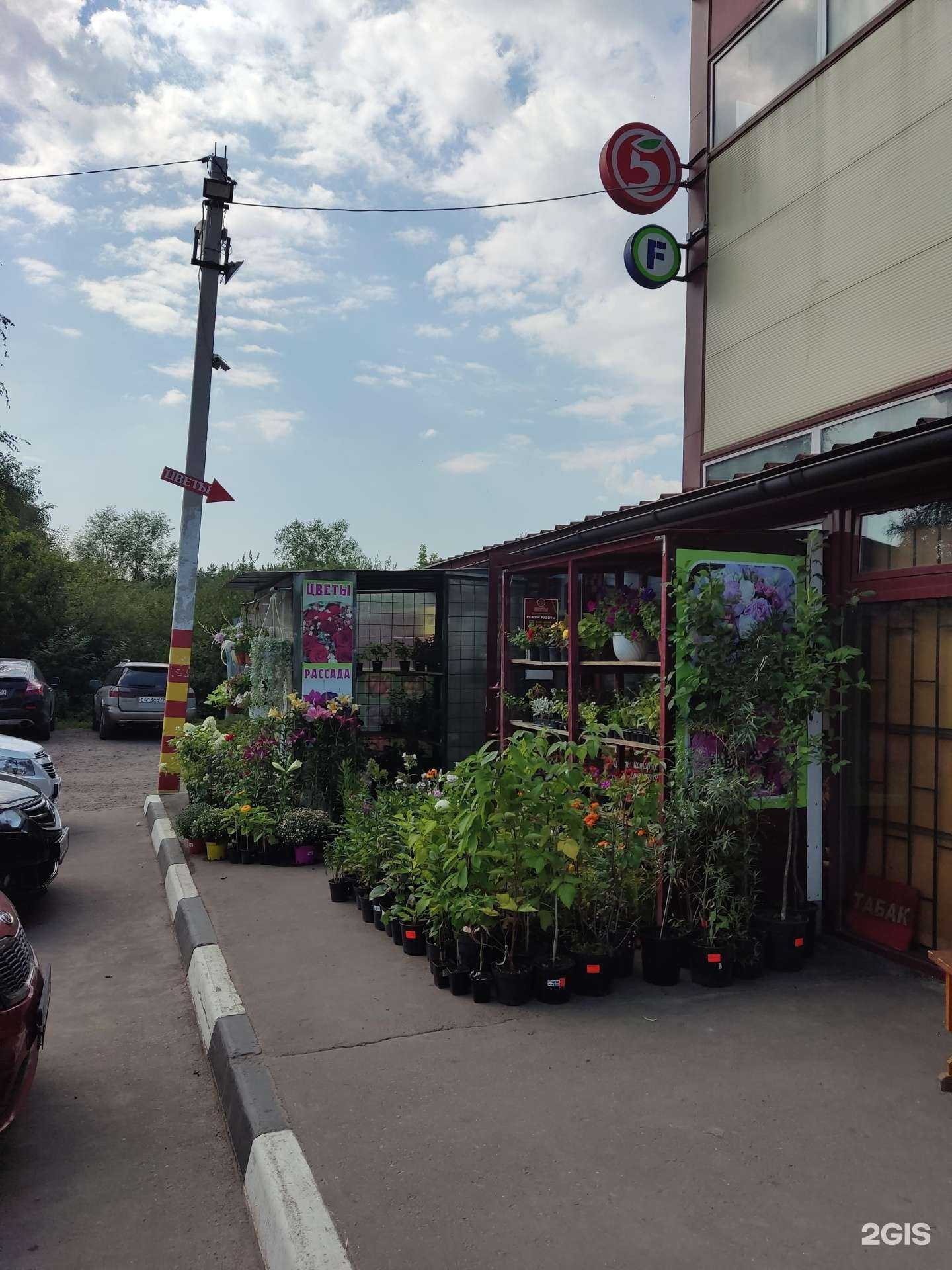 Отзывы на компанию Магазин цветов в г. Пушкино c фото