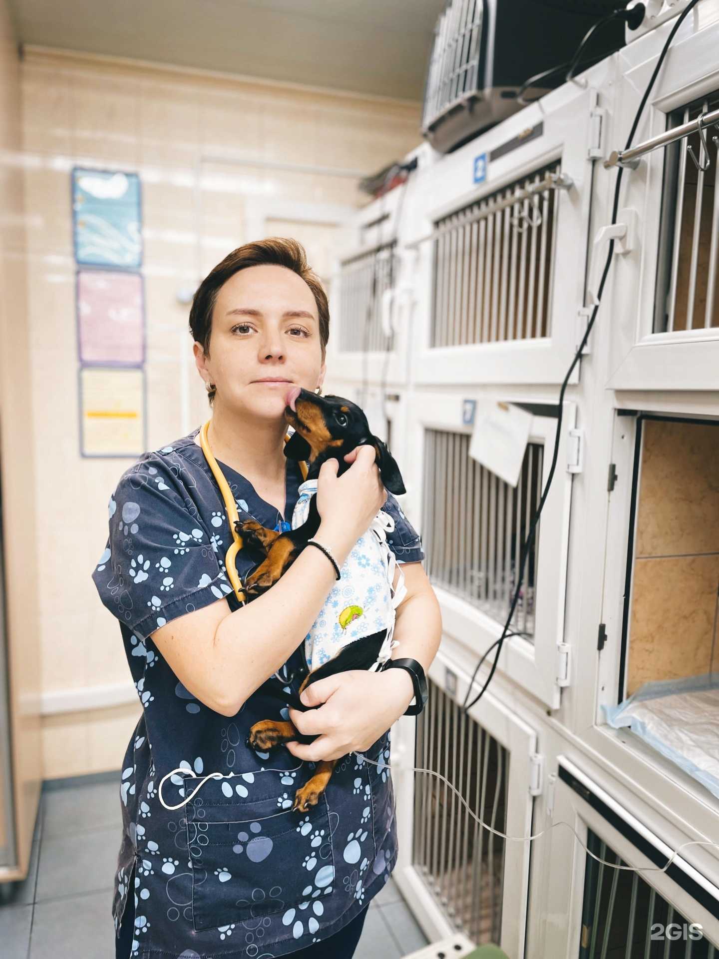 Отзывы на компанию Ветеринарная клиника на Российской в г. Краснодар c фото