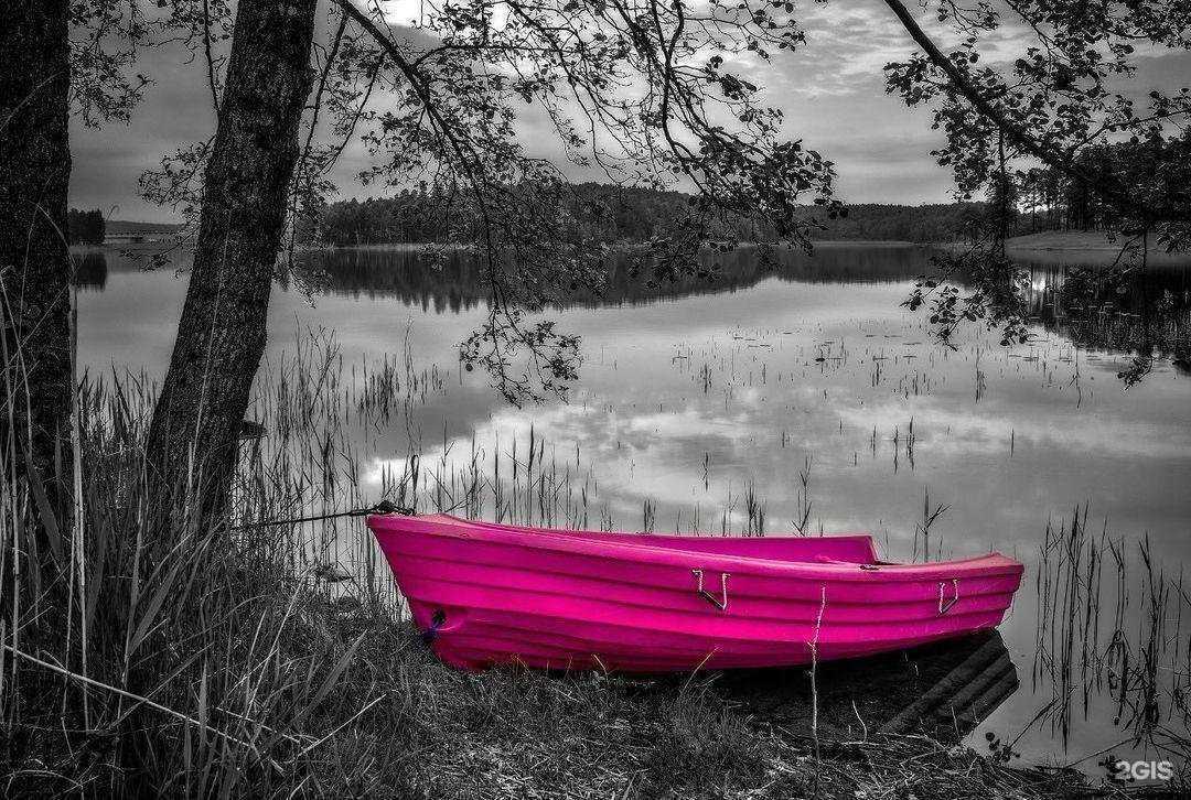 Отзывы на компанию ФинЭкспертиза-Красноярск в г. Красноярск c фото