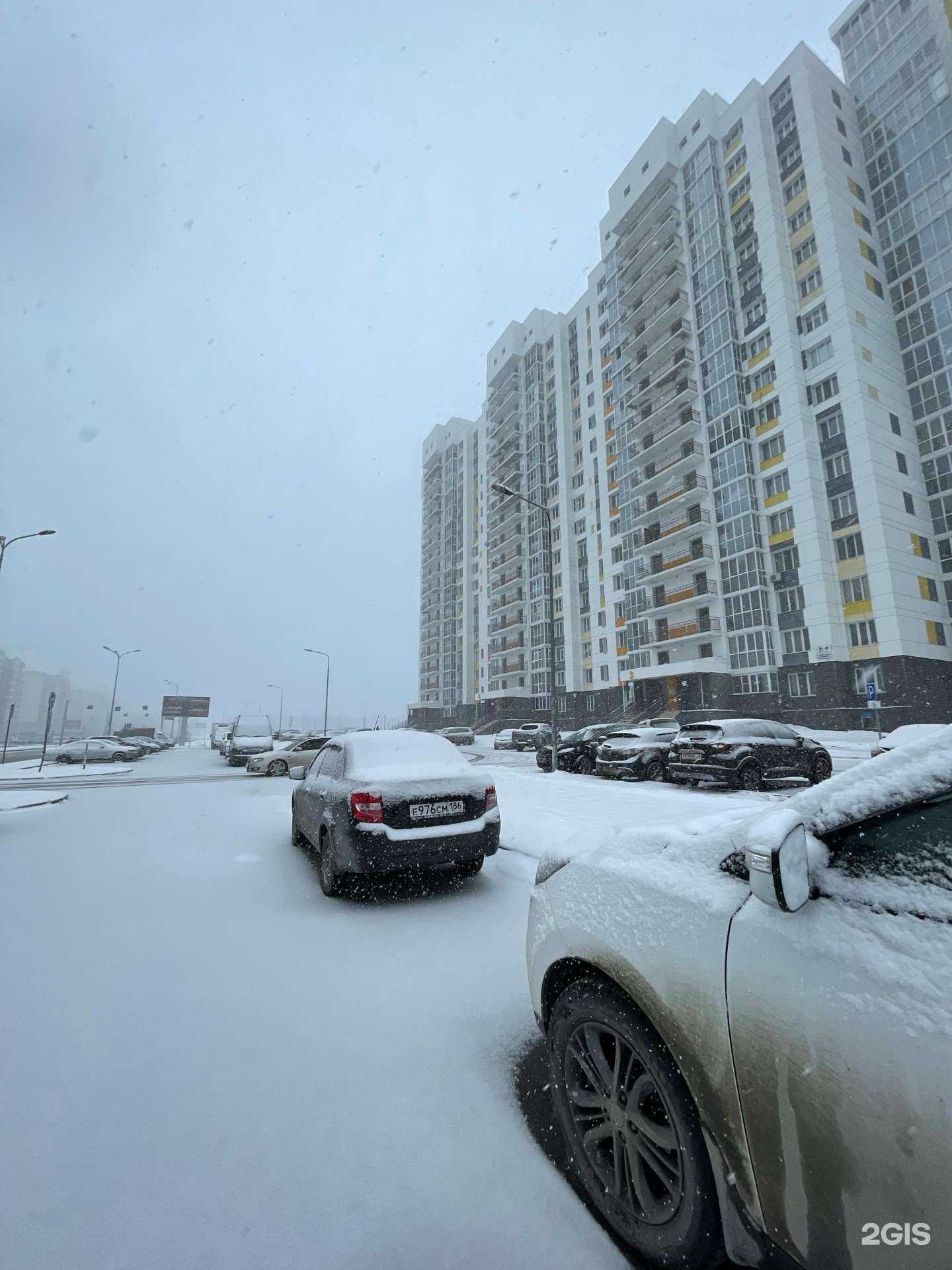 Отзывы на компанию Эверест в Сургуте c фото - фотография 2 из 2