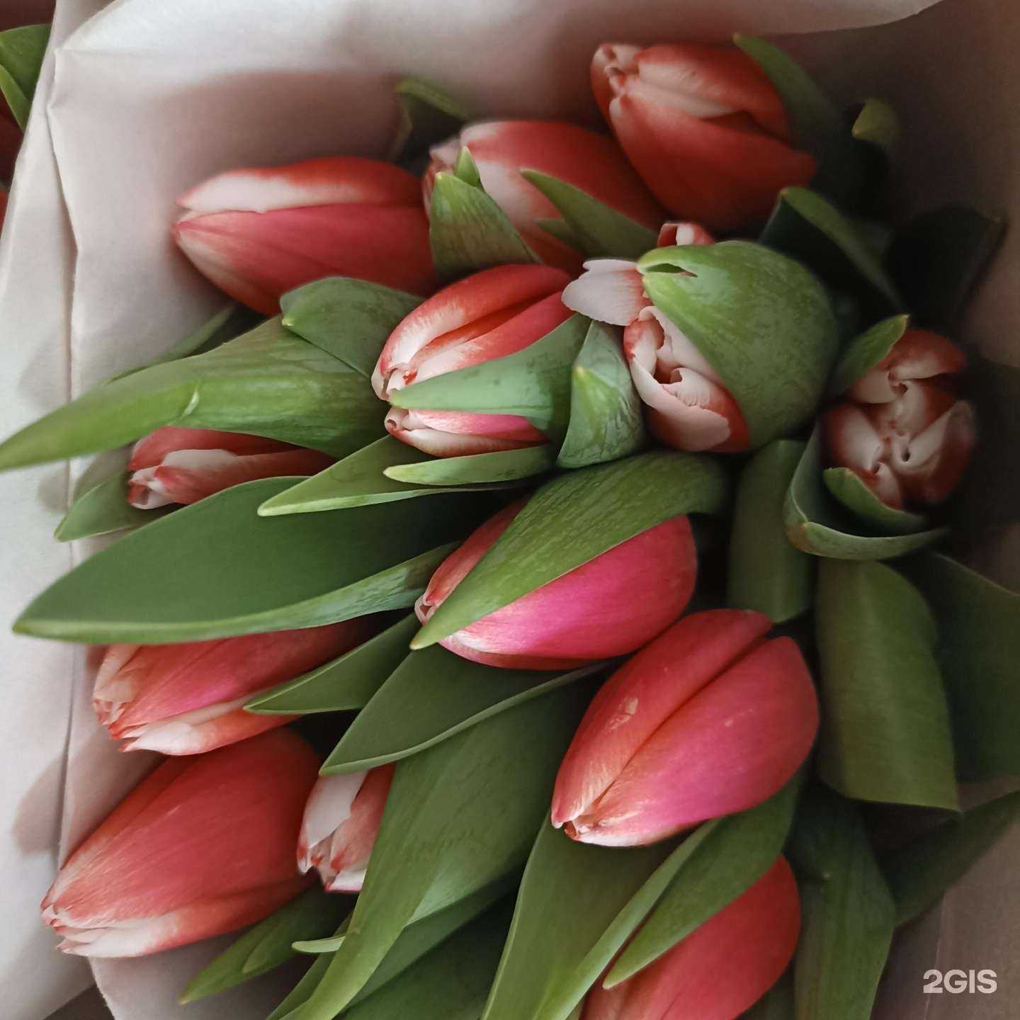 Отзывы на компанию Цветы для любимых в г. Екатеринбург c фото