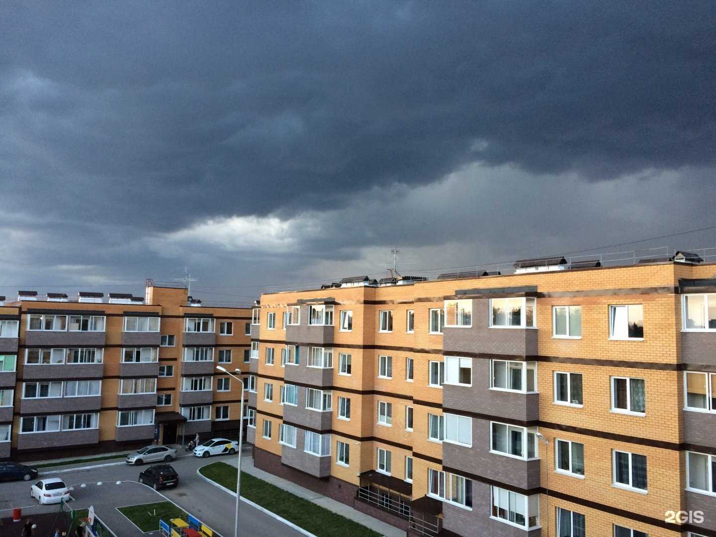 Отзывы на компанию Добрые друзья в Перми c фото - фотография 2 из 2