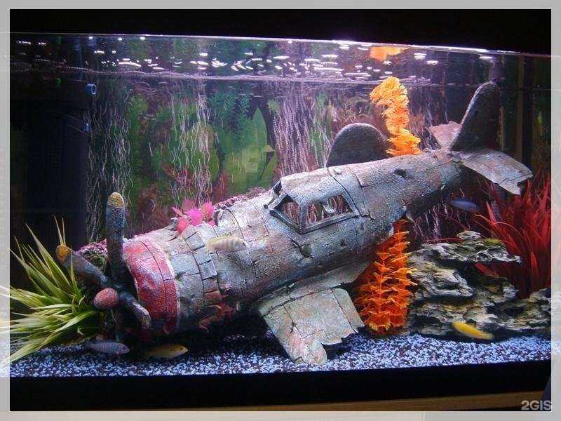 Отзывы на компанию Аквариумные профессиональные системы в г. Калуга c фото