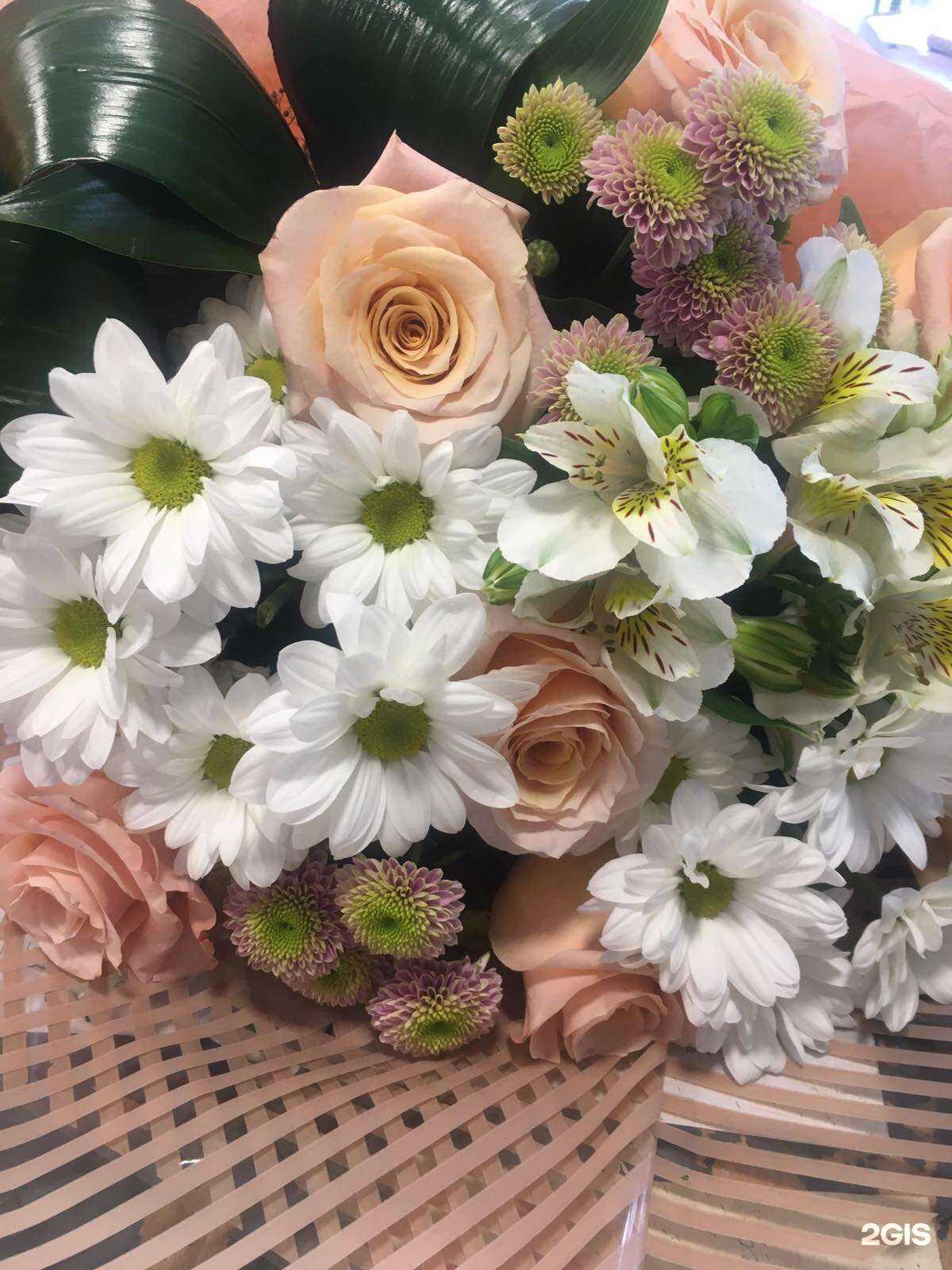 Отзывы на компанию Магнолия в г. Улан-Удэ c фото