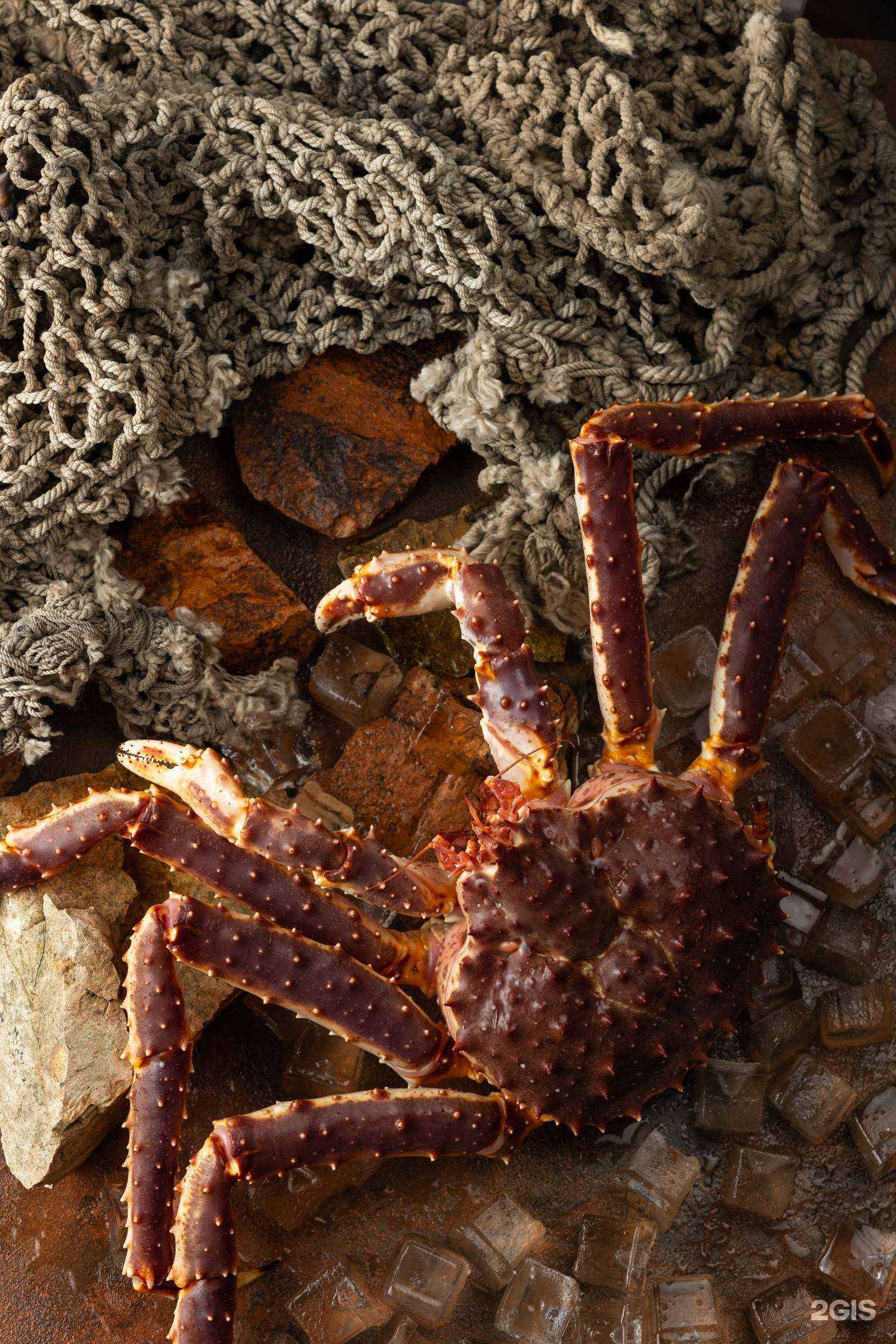 Отзывы на компанию Ogonek в Владивостоке c фото