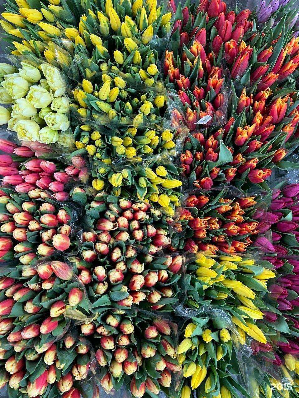 Отзывы на компанию April cash&carry в Казани c фото