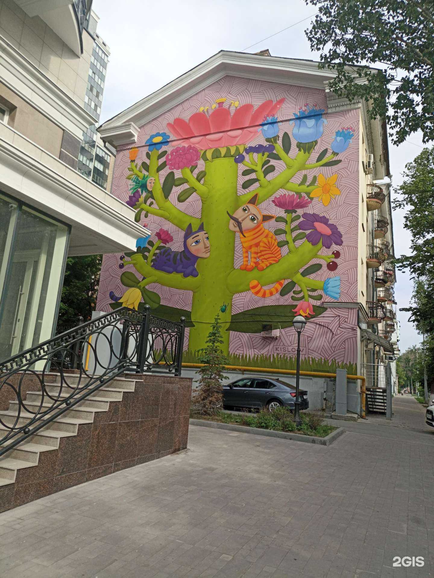 Отзывы на компанию Laser pro в Самаре c фото - фотография 2 из 2