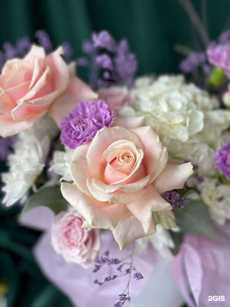 Отзывы на компанию Марчелло Розалини в Сочи c фото