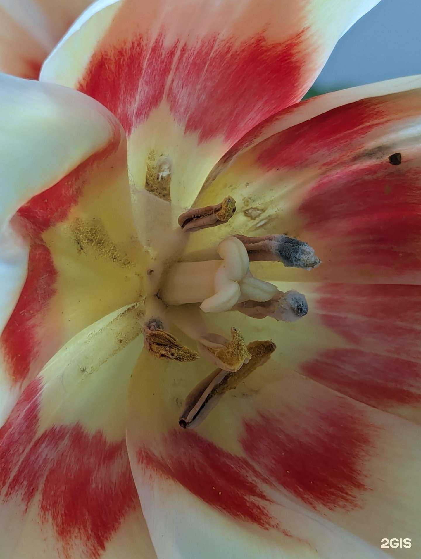 Отзывы на компанию Процветание в г. Белгород c фото