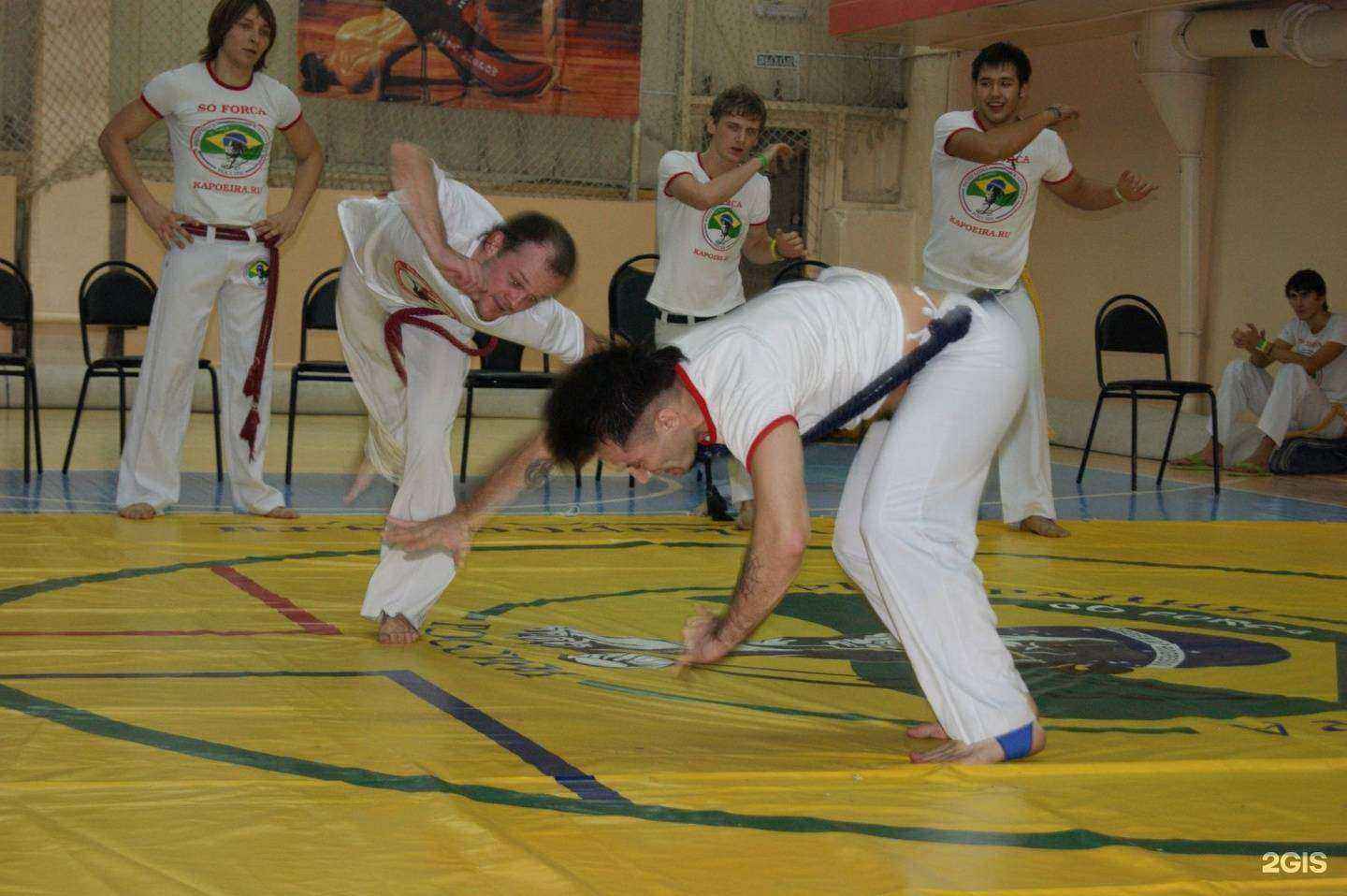 Отзывы на компанию Portao g Ouro в Владимире c фото