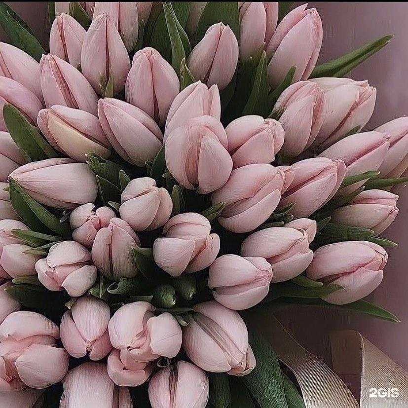 Отзывы на компанию Комильфо в Нижнем Новгороде c фото