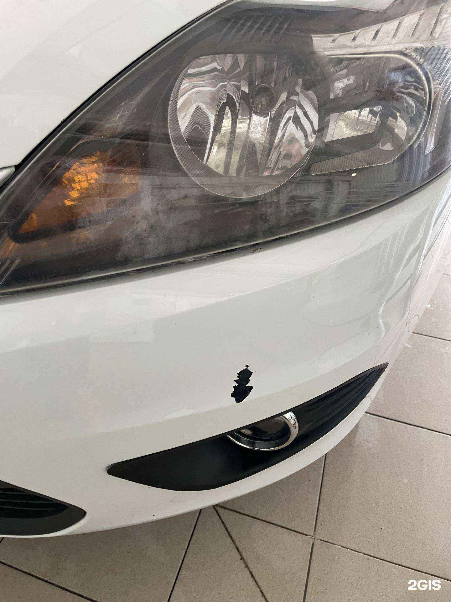 Отзывы на компанию Дельфин в г. Саранск c фото