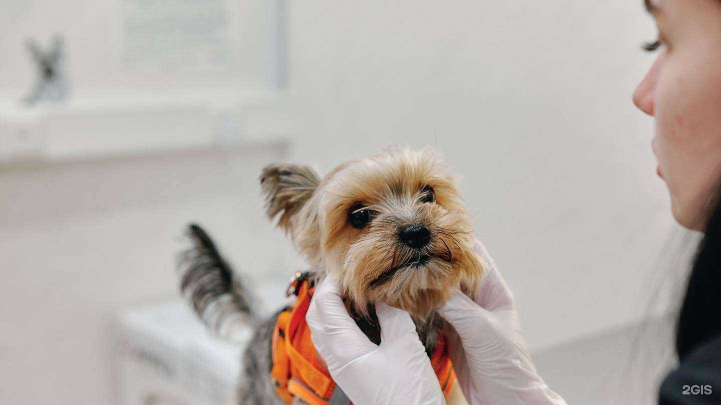 Отзывы на компанию БиоРитм в г. Ярославль c фото