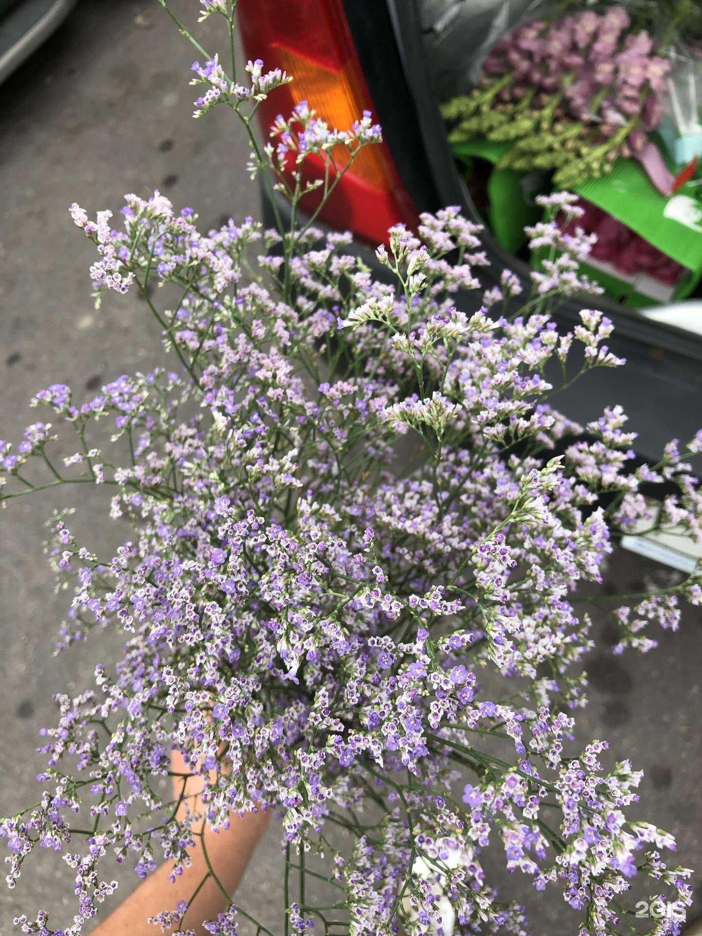 Отзывы на компанию tatiana_flowers39 в Калининграде c фото