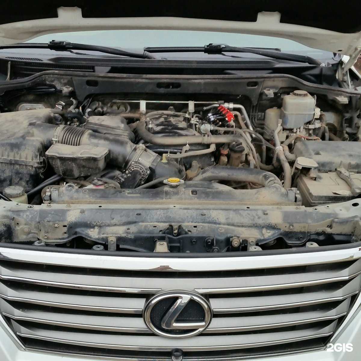 Отзывы на компанию Альтернатива в Чебоксарах c фото