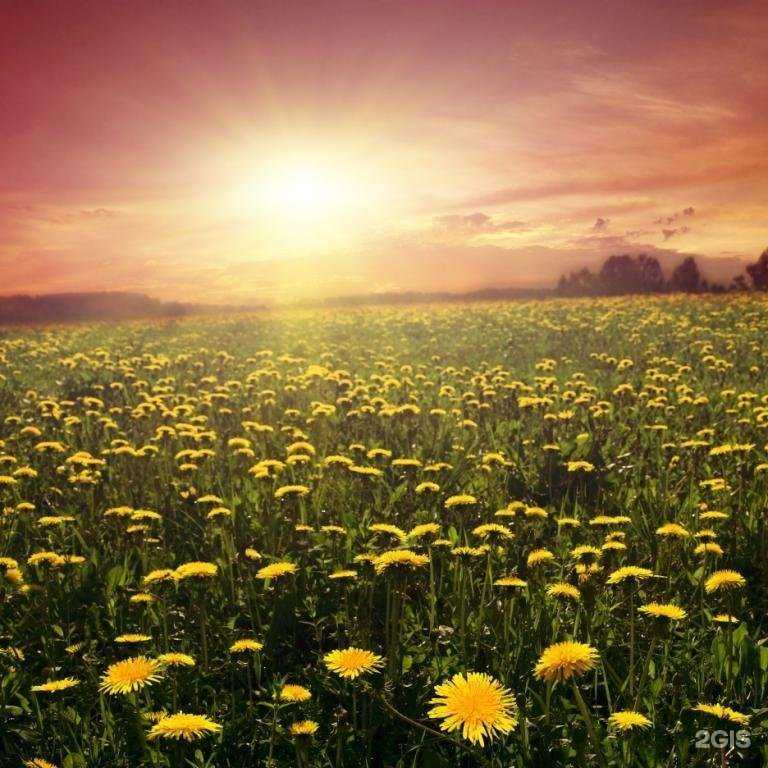 Отзывы на компанию Командор-мебель в Ревде c фото