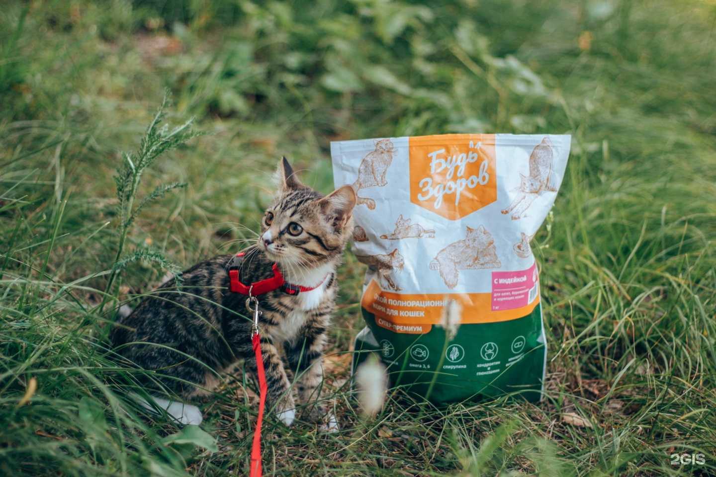 Отзывы на компанию Rich Market в г. Оренбург c фото