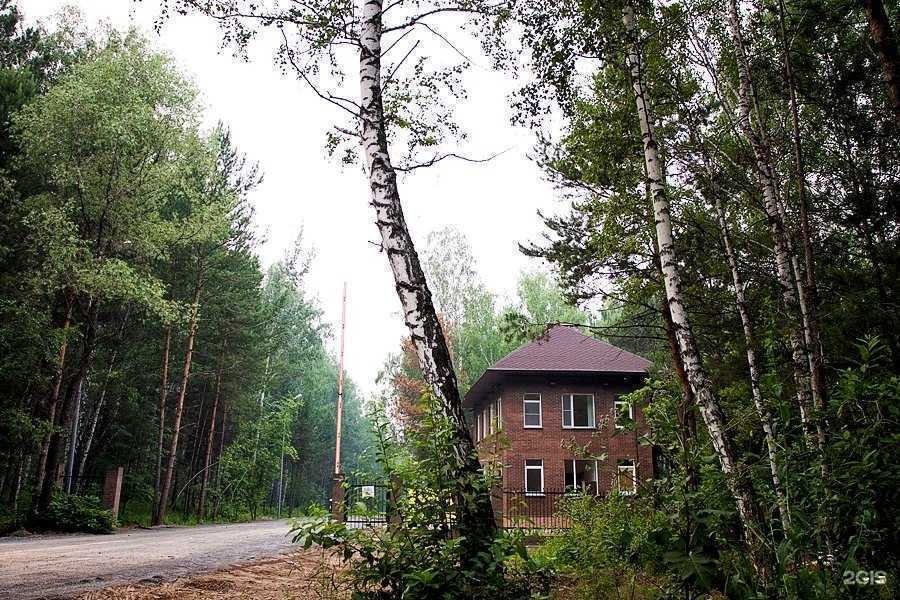 Отзывы на компанию Серебряный лес в Новосибирске c фото