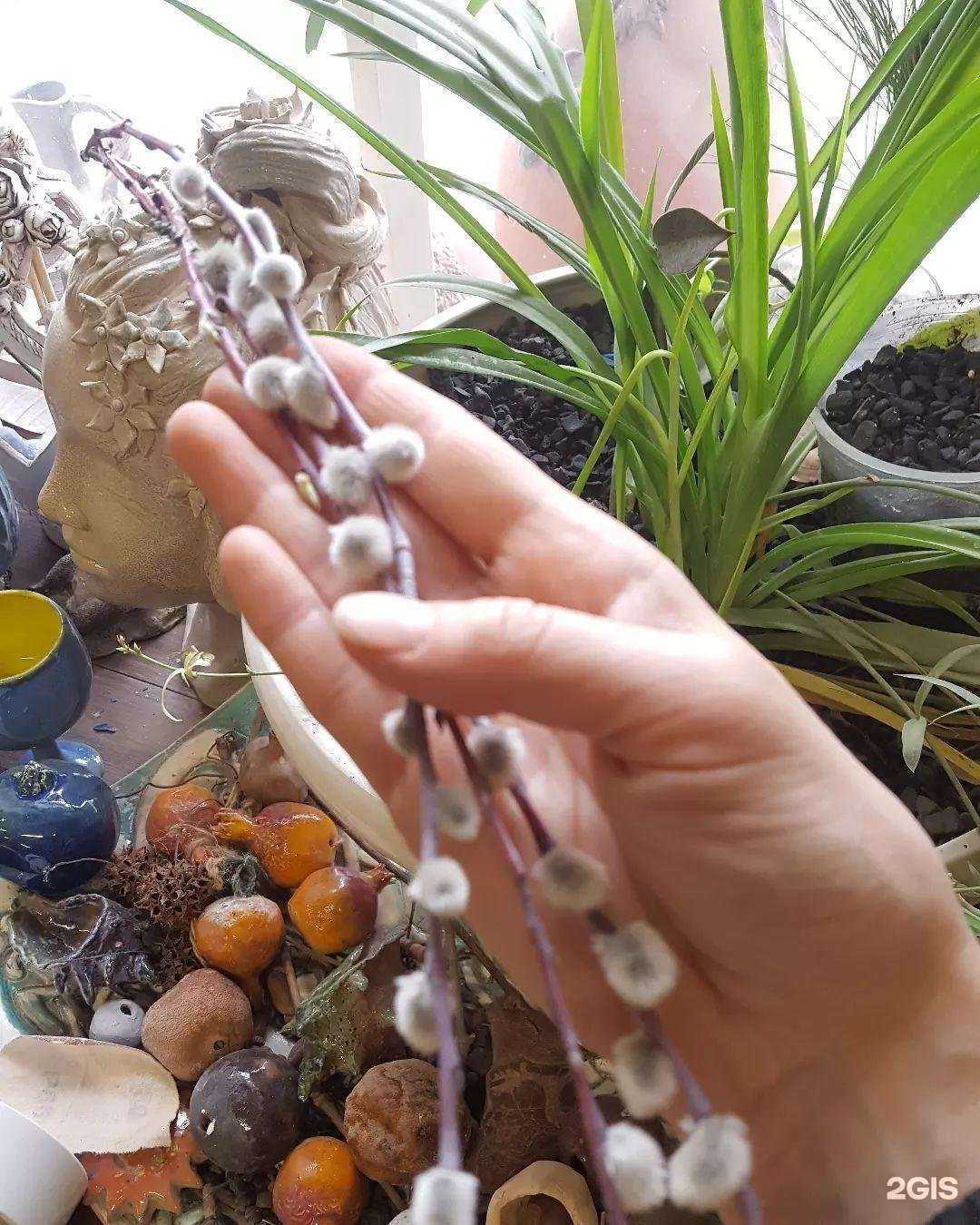 Отзывы на компанию Гончарная школа в г. Коломна c фото