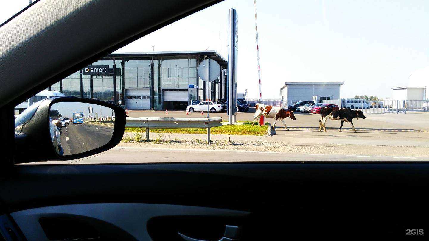 Отзывы на компанию Новотех-трак в Сургуте c фото - фотография 2 из 2