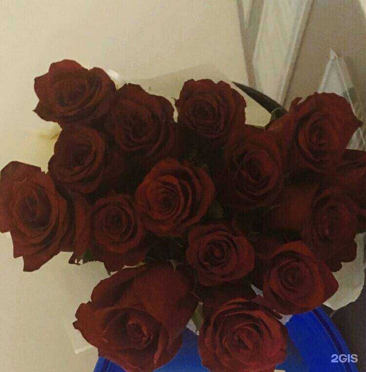 Отзывы на компанию Labuton в Красноярске c фото