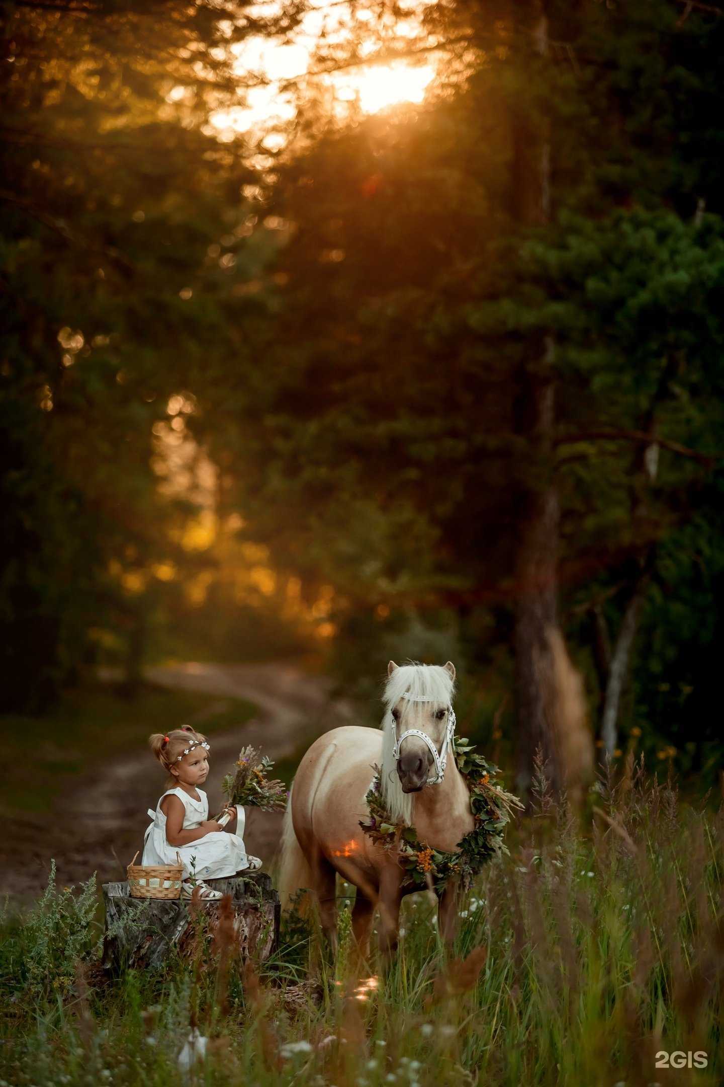 Отзывы на компанию Конюшня в Дзержинске в Дзержинске c фото