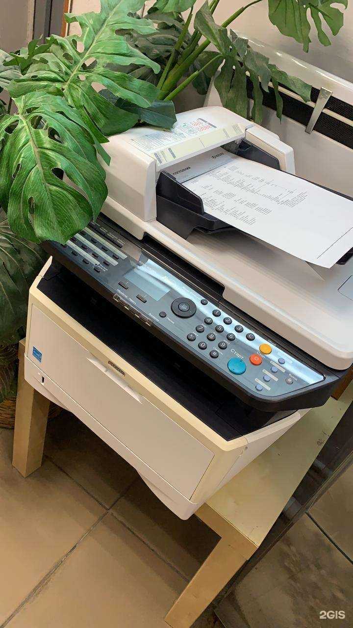 Отзывы на компанию ПринтСервис-Юг в г. Новороссийск c фото