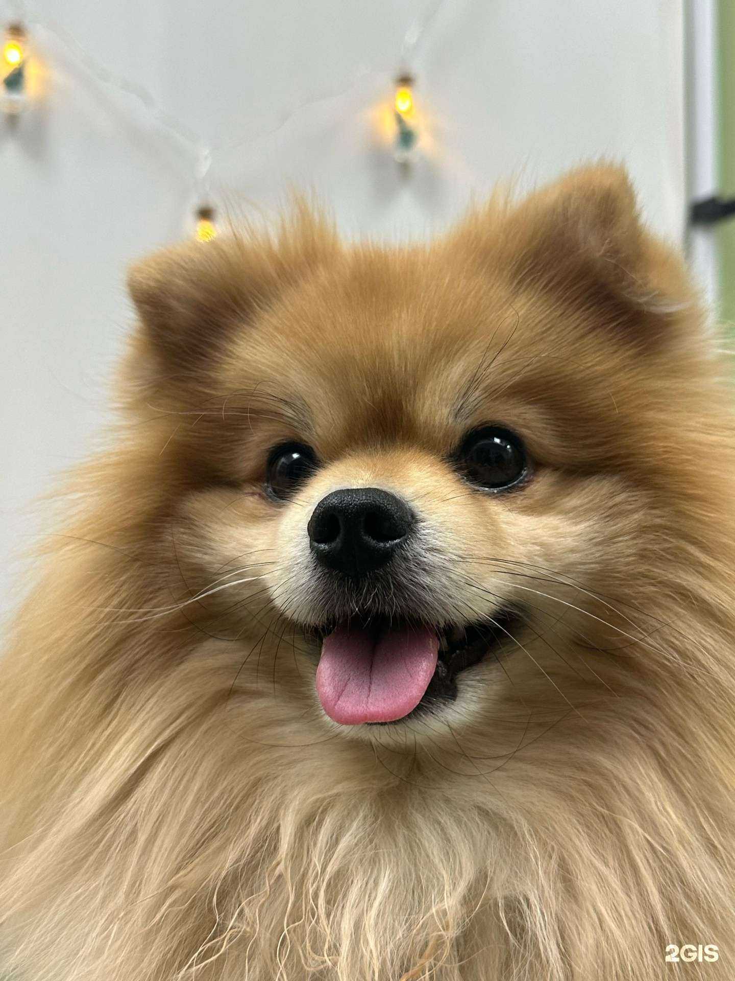 Отзывы на компанию Юлий в г. Казань c фото