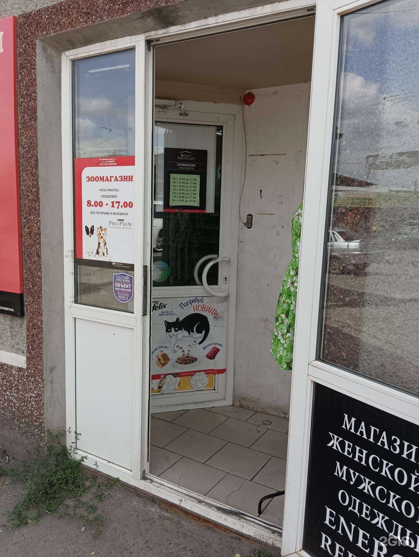 Отзывы на компанию Зооайболит в г. Новошахтинск c фото