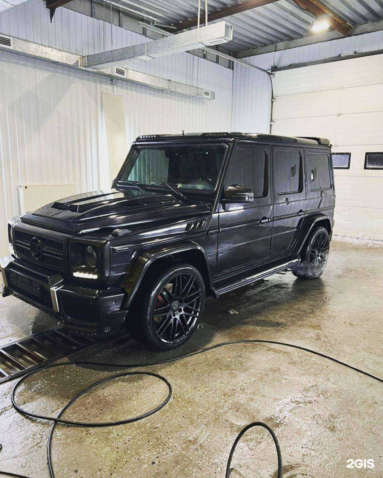 Отзывы на компанию Кот в Сургуте c фото