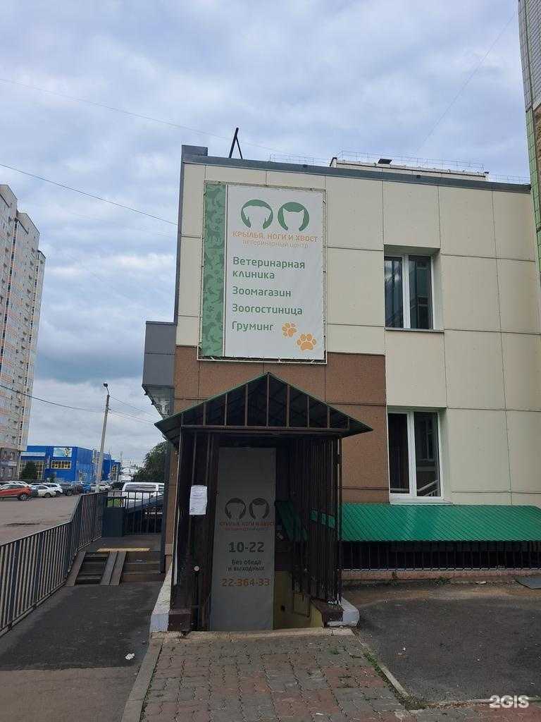 Отзывы на компанию Боня в Красноярске c фото