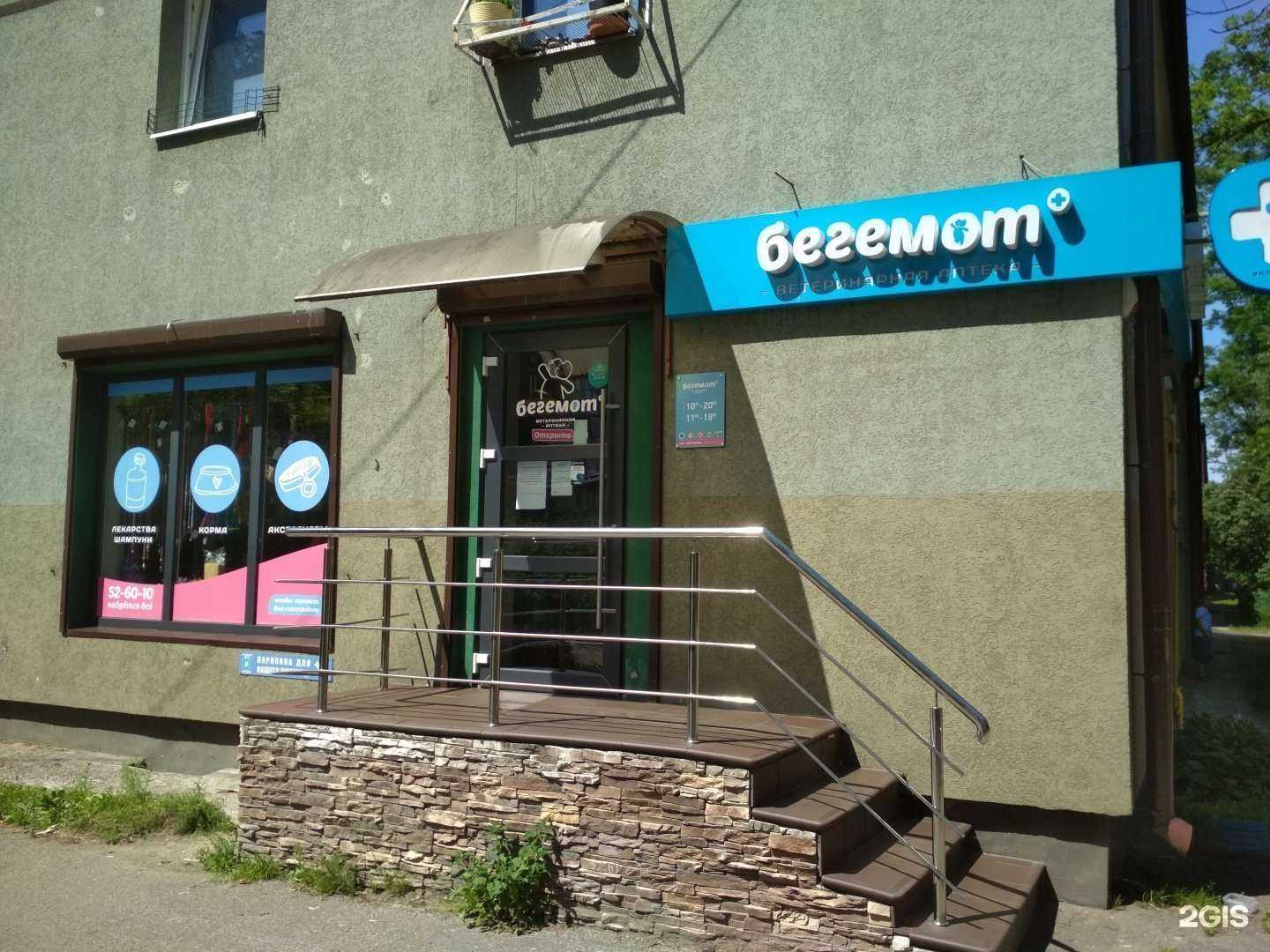 Отзывы на компанию Бегемот в г. Калининград c фото