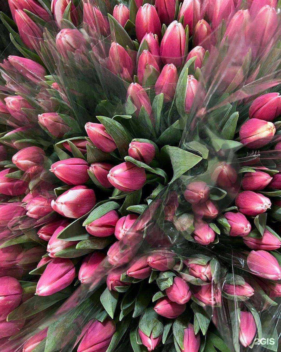 Отзывы на компанию Lemon в Екатеринбурге c фото