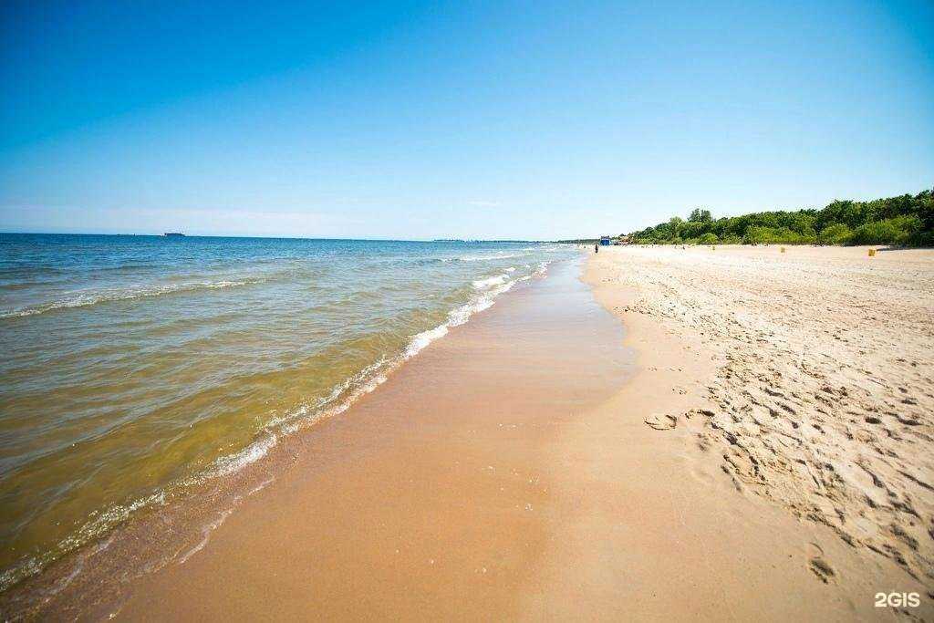 Отзывы на компанию Royal falke resort в Светлогорске c фото