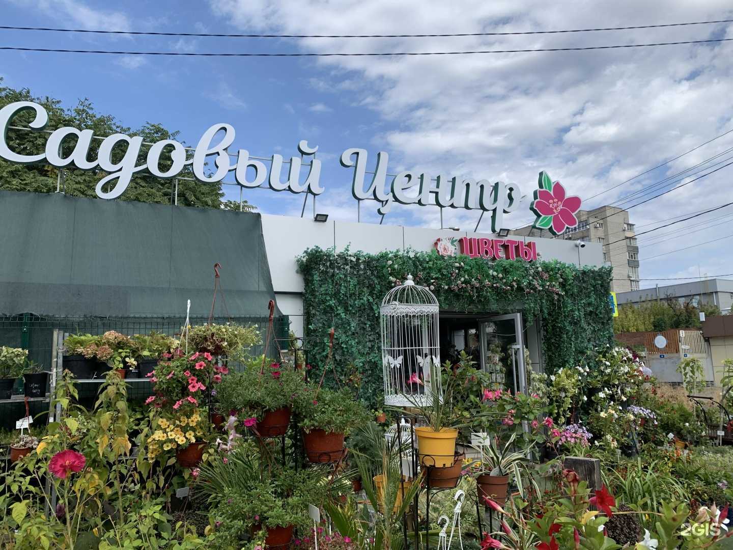 Отзывы на компанию Золотой Какаду в Краснодаре c фото