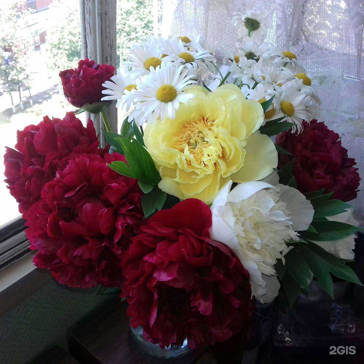 Отзывы на компанию Лима-РБ в Стерлитамаке c фото