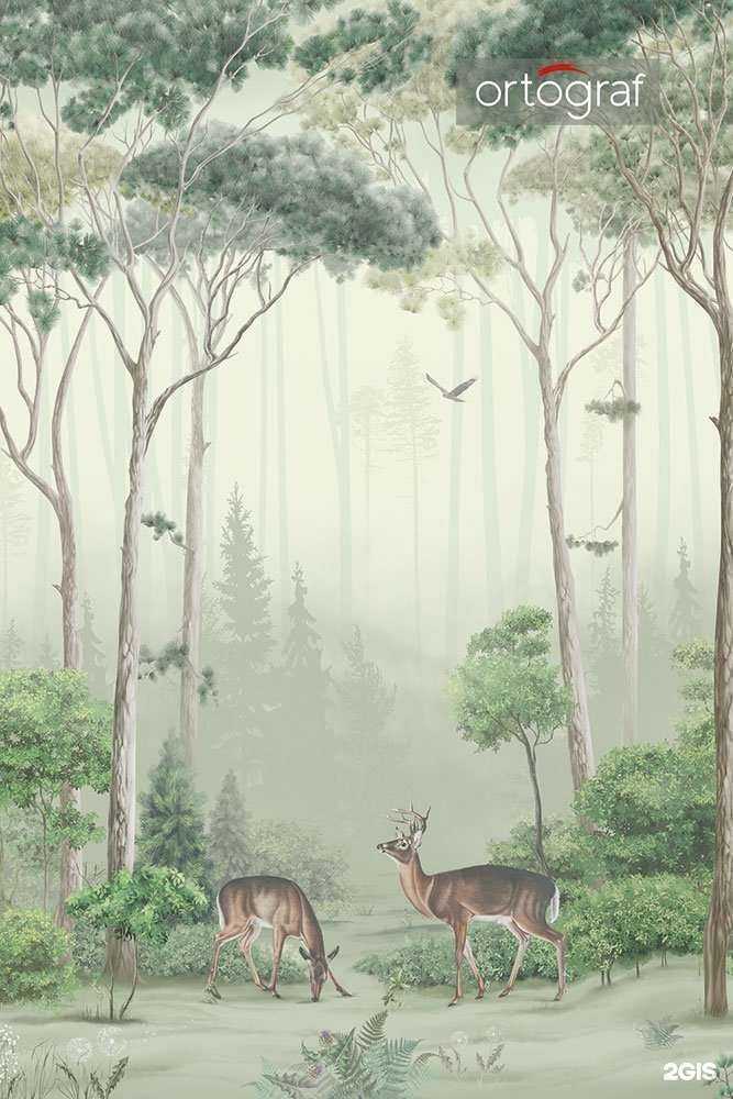 Отзывы на компанию Бонтон в Бийске c фото