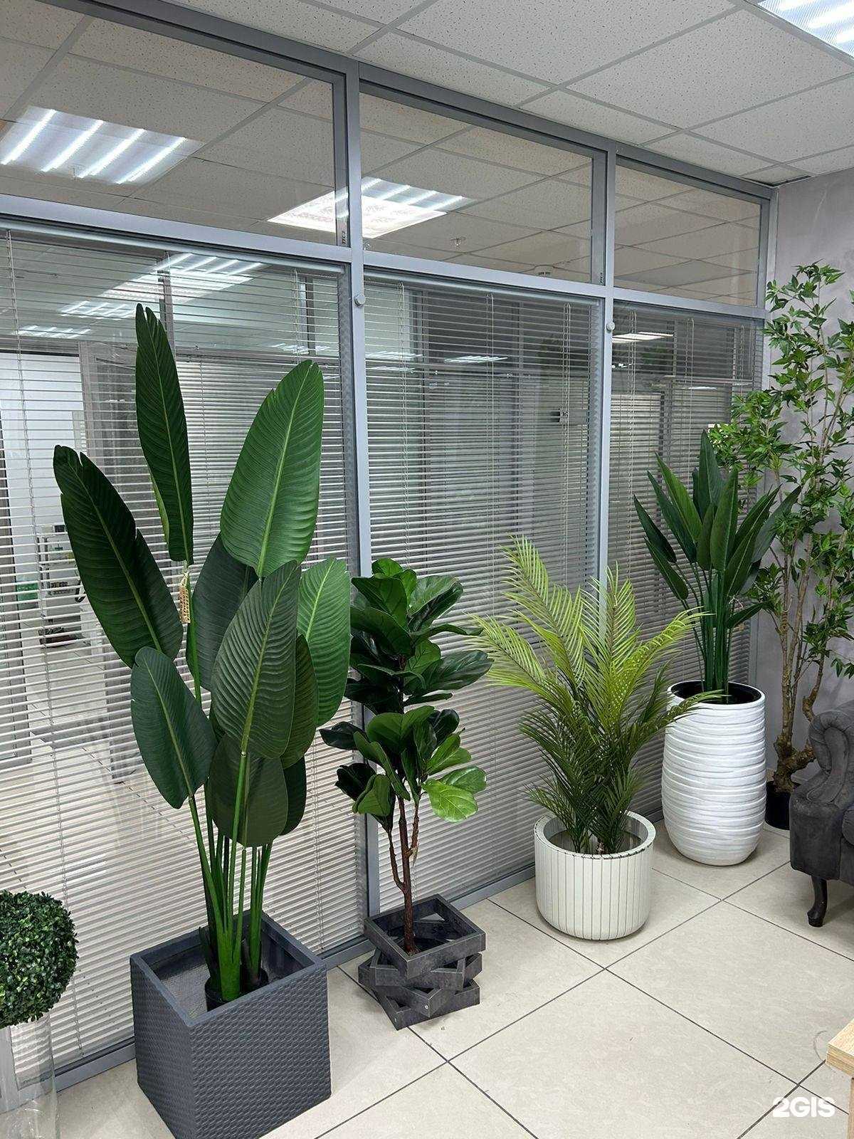 Отзывы на компанию Зеленый город в г. Набережные Челны c фото