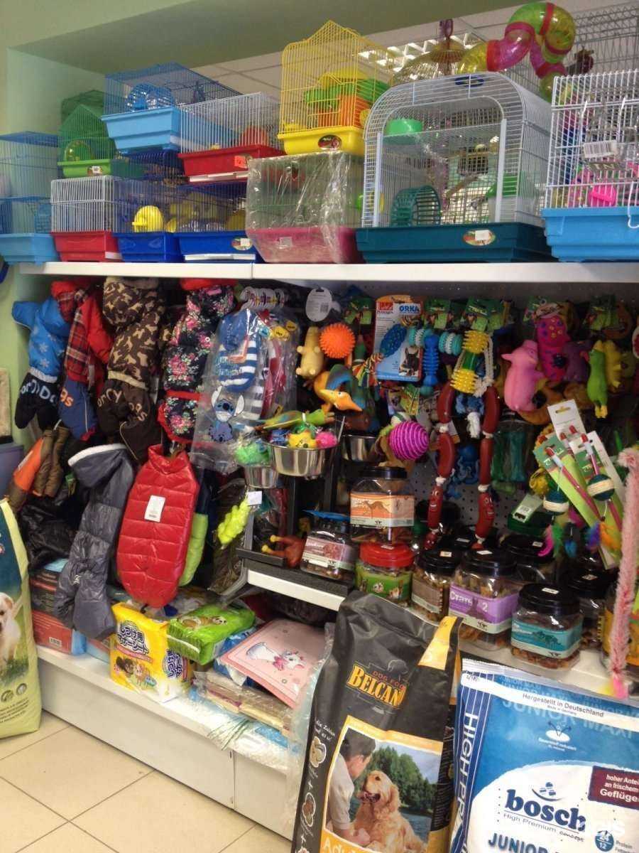 Отзывы на компанию Лимпопо в г. Казань c фото