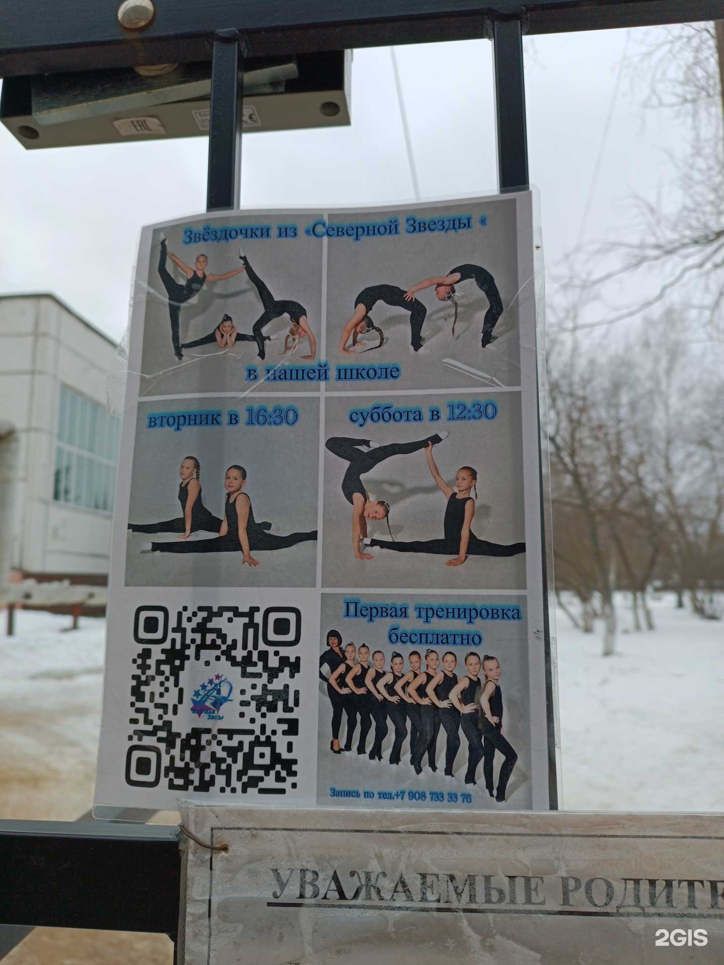 Отзывы на компанию Северная звезда в Нижнем Новгороде c фото