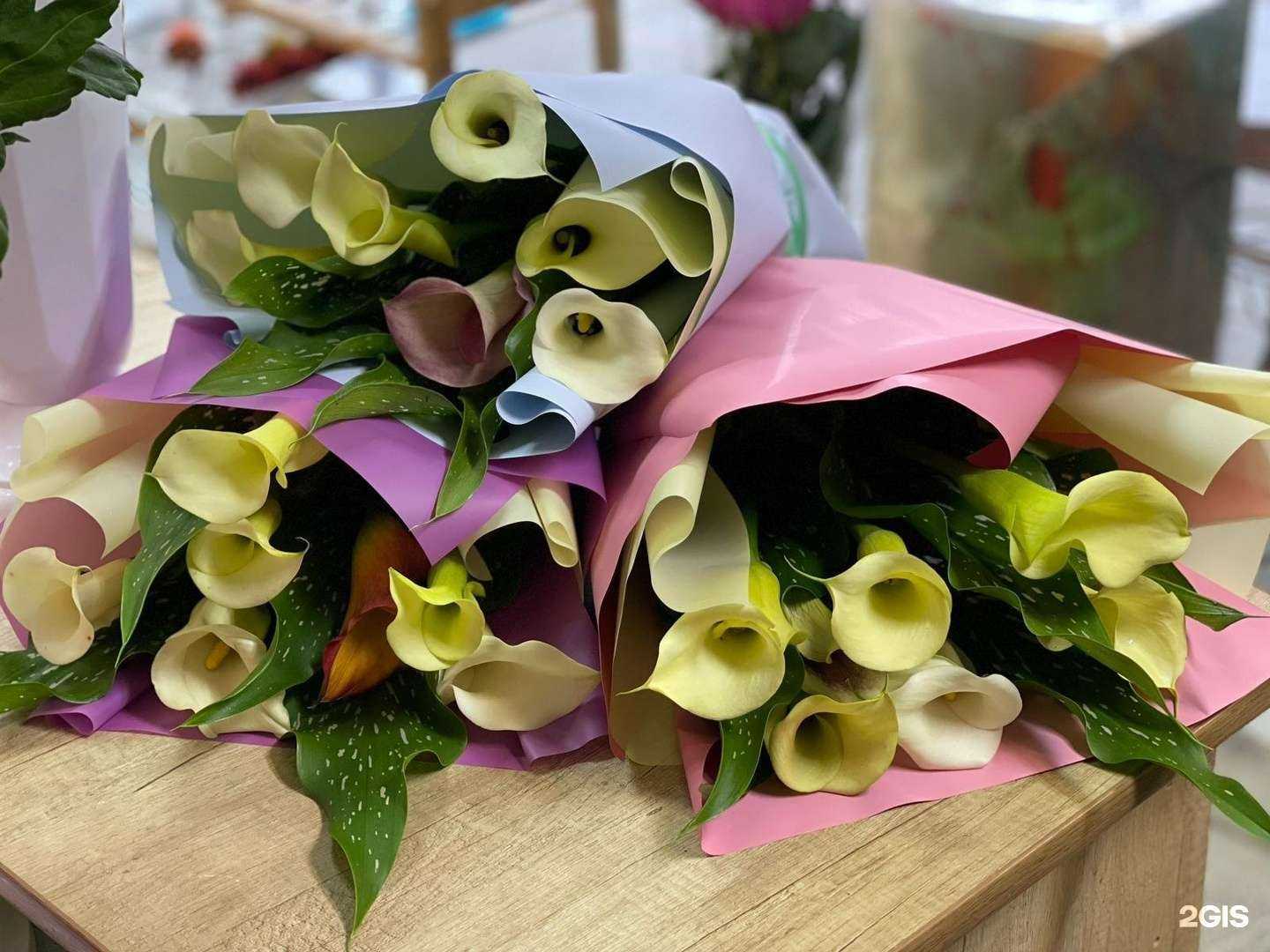 Отзывы на компанию Laguta flowers в г. Большой Камень c фото