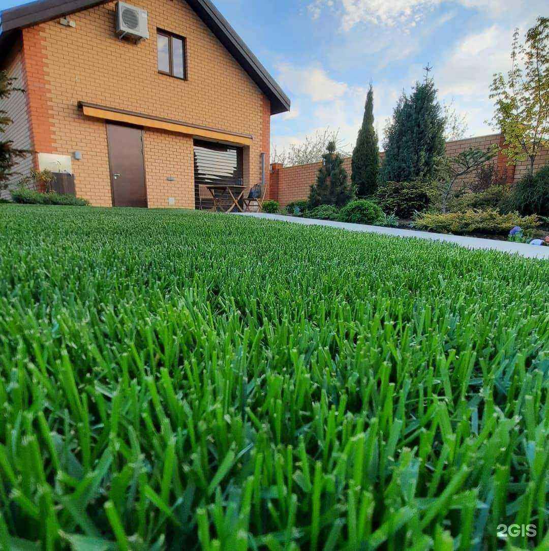 Отзывы на компанию Evergreen в Воронеже c фото