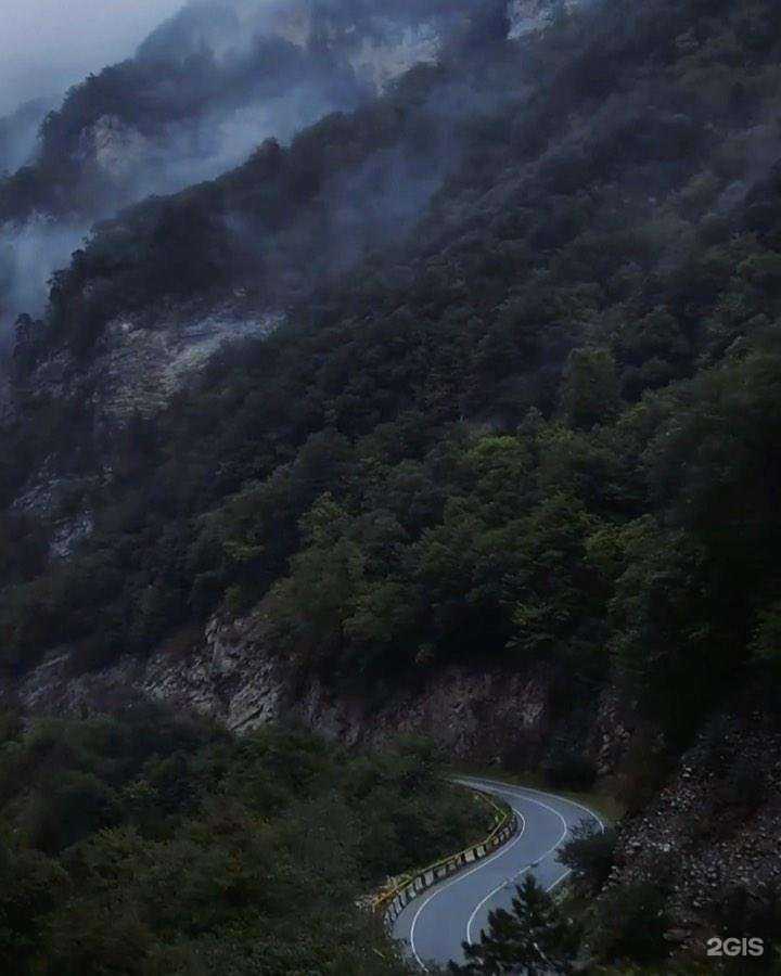 Отзывы на компанию Апельсин в г. Ставрополь c фото