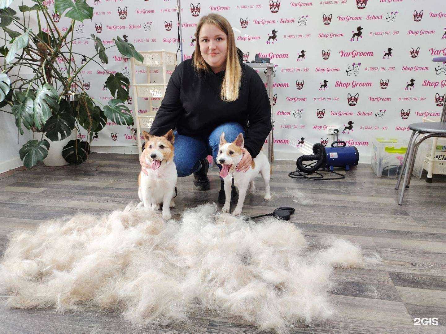 Отзывы на компанию YarGroom в Ярославле c фото